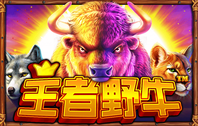 新爱体育官方入口app